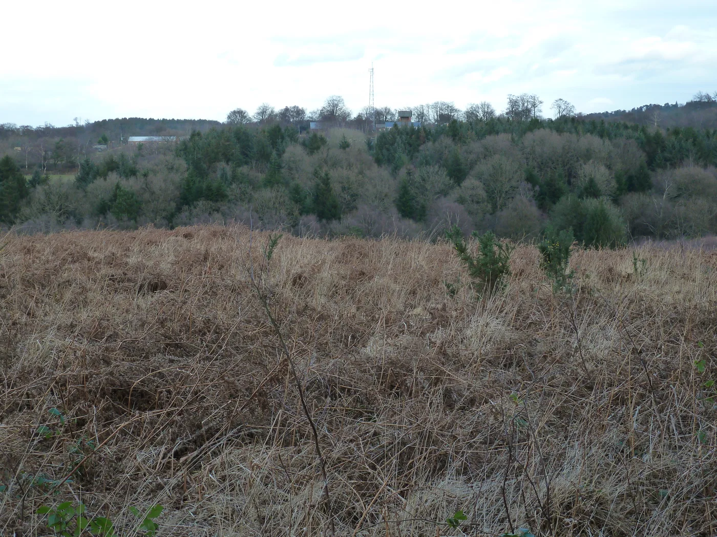 Crowborough Army Camp: £450,000 Grant Split Up on Wednesday